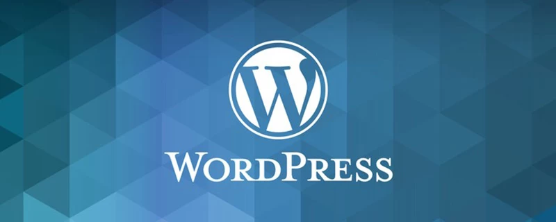WordPress加速及性能优化–禁用心跳连接Heartbeat API-源码库