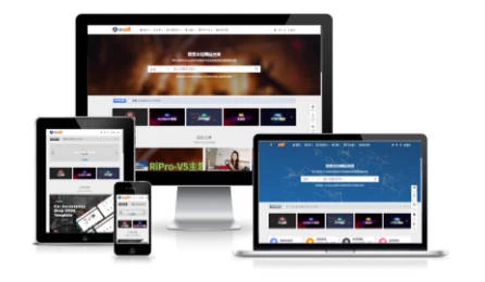 图片[2]-RiPro-V5激活版V7.1.3 RiPro-V5开心版-源码库