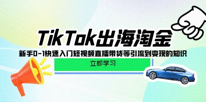 图片[2]-TikTok-出海淘金，新手0-1快速入门短视频直播带货等引流到变现的知识-源码库